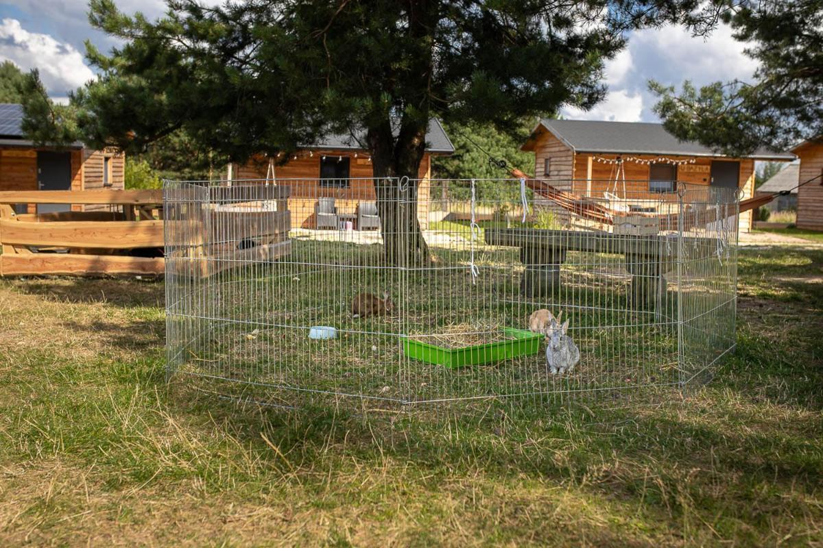 Sokole Ranczo Villa Biskupice Kocurów Eksteriør bilde